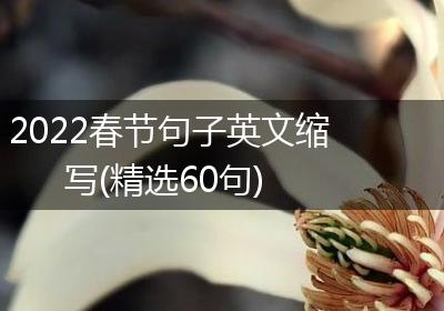 2022春节句子英文缩写(精选60句)