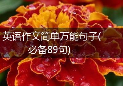 英语作文简单万能句子(必备89句)