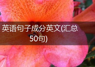 英语句子成分英文(汇总50句)