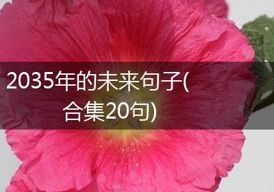 2035年的未来句子(合集20句)