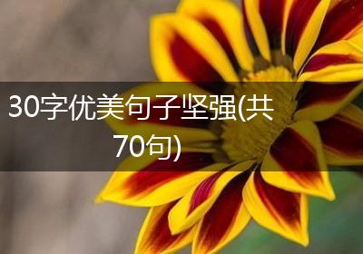 30字优美句子坚强(共70句)