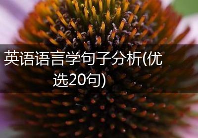 英语语言学句子分析(优选20句)