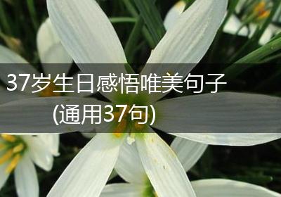 37岁生日感悟唯美句子(通用37句)