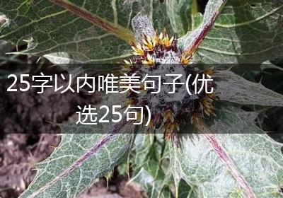 25字以内唯美句子(优选25句)