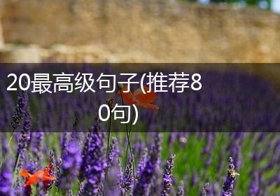 20最高级句子(推荐80句)