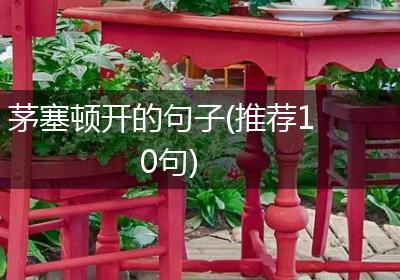茅塞顿开的句子(推荐10句)