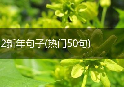 2新年句子(热门50句)