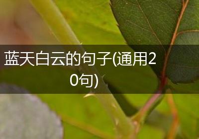 蓝天白云的句子(通用20句)