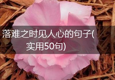 落难之时见人心的句子(实用50句)