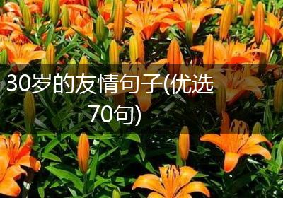 30岁的友情句子(优选70句)