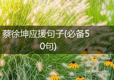 蔡徐坤应援句子(必备50句)