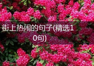 街上热闹的句子(精选10句)