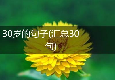 30岁的句子(汇总30句)