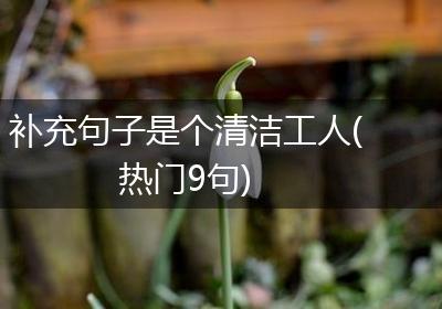 补充句子是个清洁工人(热门9句)