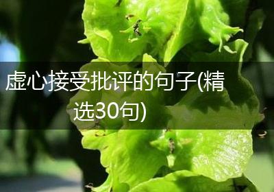 虚心接受批评的句子(精选30句)