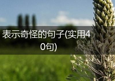 表示奇怪的句子(实用40句)