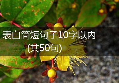 表白简短句子10字以内(共50句)