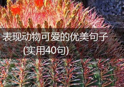 表现动物可爱的优美句子(实用40句)