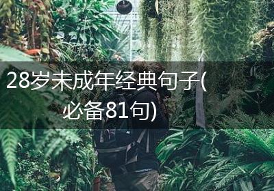 28岁未成年经典句子(必备81句)