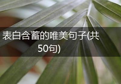 表白含蓄的唯美句子(共50句)