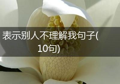 表示别人不理解我句子(10句)