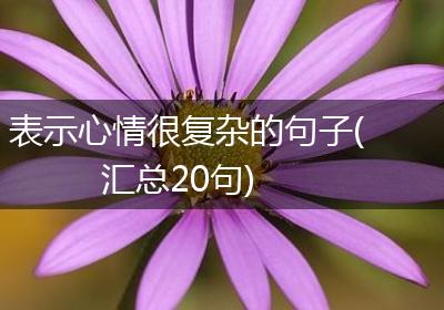 表示心情很复杂的句子(汇总20句)