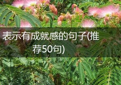 表示有成就感的句子(推荐50句)