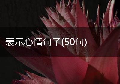 表示心情句子(50句)