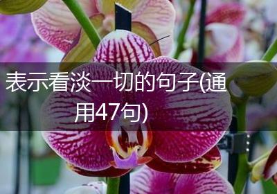 表示看淡一切的句子(通用47句)