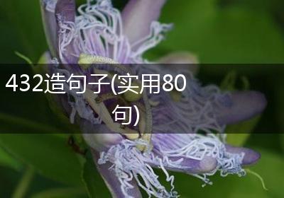 432造句子(实用80句)