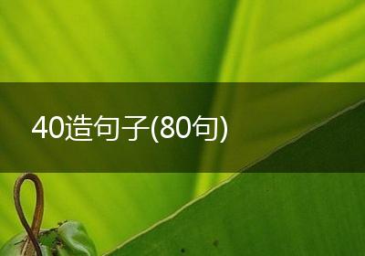 40造句子(80句)