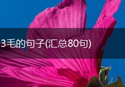 3毛的句子(汇总80句)