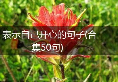 表示自己开心的句子(合集50句)