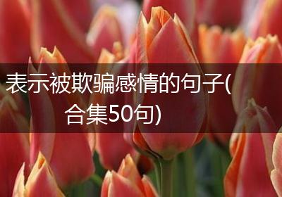 表示被欺骗感情的句子(合集50句)