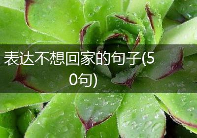 表达不想回家的句子(50句)