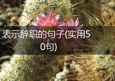 表示辞职的句子(实用50句)