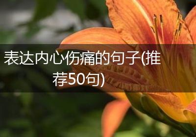 表达内心伤痛的句子(推荐50句)
