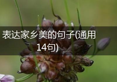 表达家乡美的句子(通用14句)