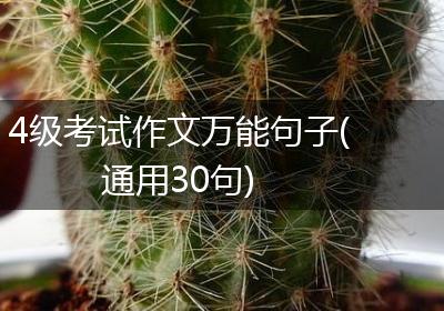 4级考试作文万能句子(通用30句)