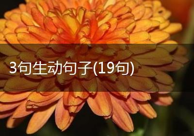 3句生动句子(19句)