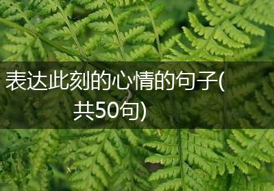 表达此刻的心情的句子(共50句)