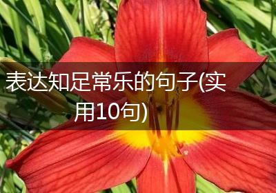 表达知足常乐的句子(实用10句)