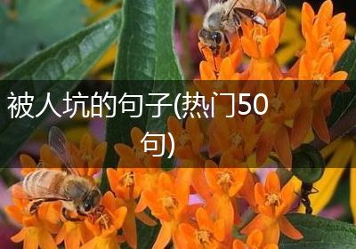 被人坑的句子(热门50句)