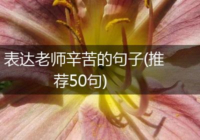 表达老师辛苦的句子(推荐50句)