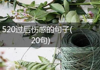 520过后伤感的句子(20句)