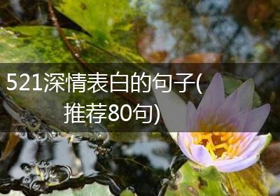521深情表白的句子(推荐80句)