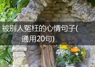 被别人冤枉的心情句子(通用20句)