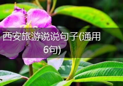 西安旅游说说句子(通用6句)