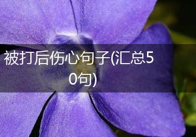 被打后伤心句子(汇总50句)