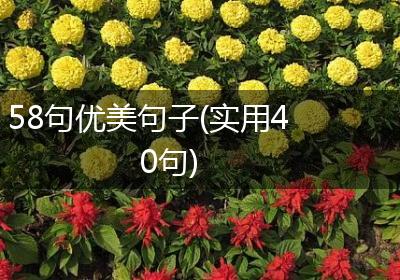 58句优美句子(实用40句)
